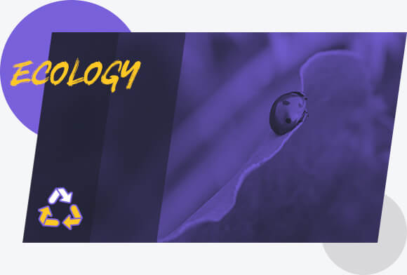 Ecology